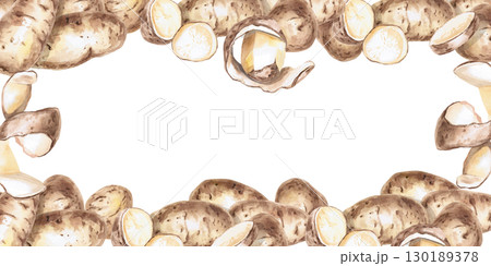 Rectangular frame of peeled and whole potatoes. Isolated watercolor illustration on the theme of vegetables for the design of seed packaging, restaurant menus, culinary recipes. 130189378