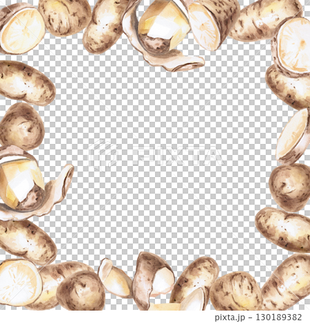 Square frame of peeled, halved and whole potato tubers. Isolated watercolor illustration on the theme of vegetables for the design of seed packaging, restaurant menus, culinary recipes, labels. 130189382