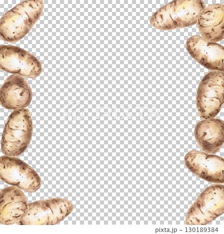Square frame of whole potato tubers. Isolated watercolor illustration on the theme of vegetables for the design of seed packaging, restaurant menus, culinary recipes, labels. 130189384