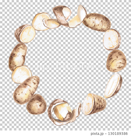 Round frame of potato tubers. Isolated watercolor illustration on the theme of vegetables for the design of seed packaging, restaurant menus, culinary recipes, labels. 130189386