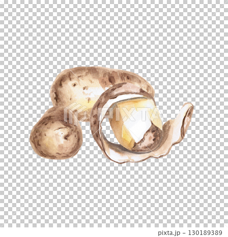 Three potatoes. Isolated watercolor illustration on the theme of vegetables for the design of packaging of seed materials, restaurant menus, culinary recipes, labels. Three potatoes. Isolated watercolor illustration on the theme of vegetables for the design of packaging of seed materials, restaurant menus, culinary recipes, labels. 130189389