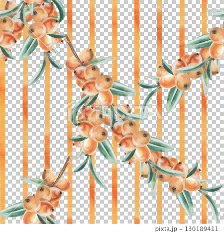 Seamless pattern with branches of ripe juicy sea buckthorn on a background of watercolor stripes. Watercolor illustration for packaging design, printing on fabric, textiles. 130189411