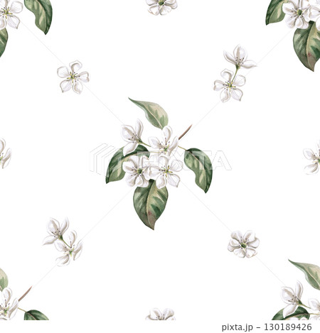Seamless pattern with pear flowers on a branch. Watercolor illustration hand drawn for design of packaging of juice, puree, baby food, jam, compote, printing on posters and clothes,printing on fabric. 130189426