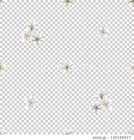 Seamless pattern with delicate pear flowers. Watercolor illustration hand drawn for packaging design, fabric printing, product design. Seamless pattern with delicate pear flowers. Watercolor illustration hand drawn for packaging design, fabric printing, product design. 130189427