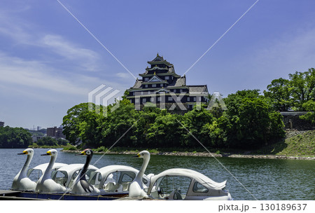 岡山城とスワンボート　岡山県岡山市 130189637