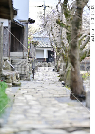 八幡堀2024年3月 130190309