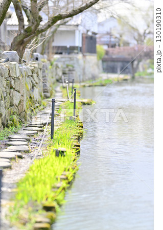 八幡堀2024年3月 130190310