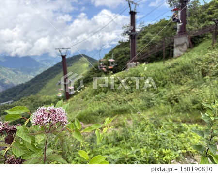 フジバカマ咲く谷川岳天神平駅からリフト乗り場を望む_夏の谷川岳ロープウェイリフト 130190810