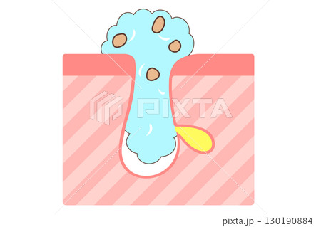 洗顔時の毛穴の様子を表した断面図 洗顔時の毛穴の様子を表した断面図 130190884