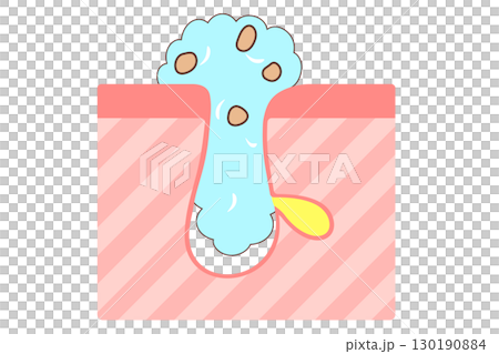 洗顔時の毛穴の様子を表した断面図 洗顔時の毛穴の様子を表した断面図 130190884