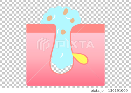 洗顔時の毛穴の様子を表した断面図 130191009