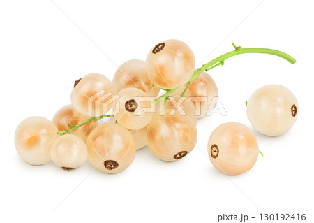 white or yellow currant isolated on white background with full depth of field 130192416