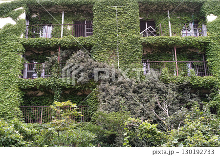 池島の緑に覆われた炭鉱アパート 池島の緑に覆われた炭鉱アパート 130192733