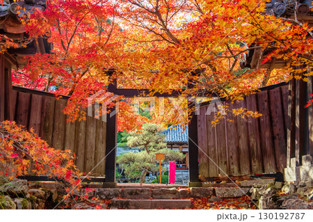 Entrance gate with colorful maple leaf at fall, Nisonin Temple, Arashiyama 130192787
