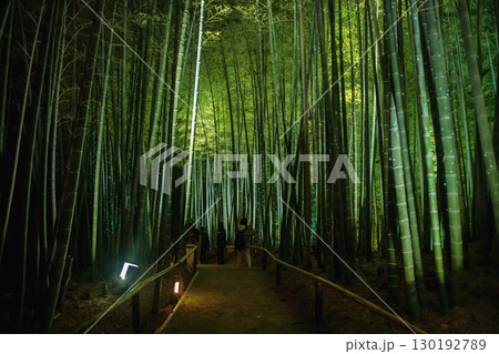 Tourist people at Bamboo grove light up at night in Kodai-ji temple, Kyoto 130192789