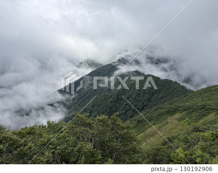 夏の谷川岳天神尾根から見た谷川岳登山道_谷川岳 130192906