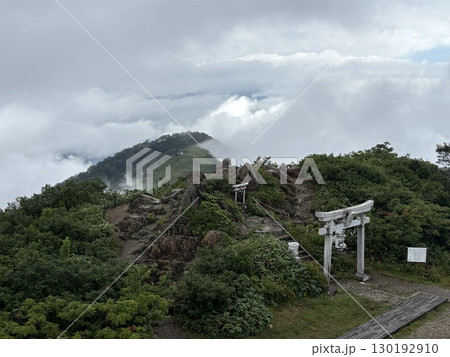 夏の谷川岳天神尾根から見た谷川岳登山道_谷川岳 130192910