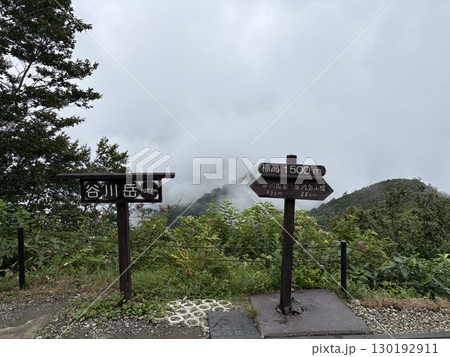 夏の谷川岳天神尾根から見た谷川岳登山道_谷川岳 130192911