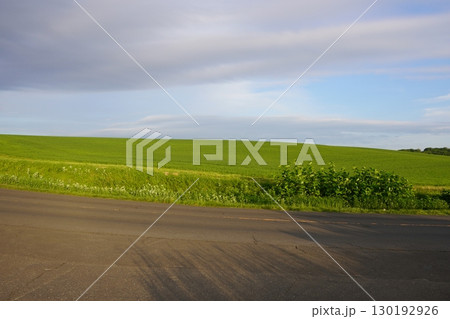 とても広い小麦畑（石狩市厚田区嶺泊駐車公園付近） 130192926