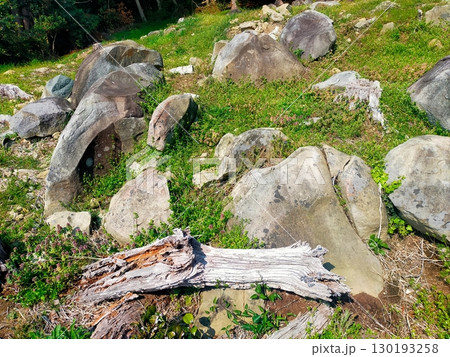 出島縄文配石遺構群 出島縄文配石遺構群 130193258