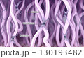 Anatomical structure of the skin extracellular matrix: fibroblasts, collagen, and elastin fibers. 3D rendered illustration 130193482