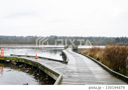 Burnaby Lake Regional Park, BC, Canada 130194879