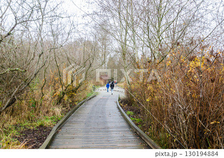 Burnaby Lake Regional Park, BC, Canada Burnaby Lake Regional Park, BC, Canada 130194884