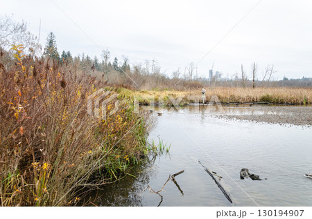 Burnaby Lake Regional Park, BC, Canada 130194907