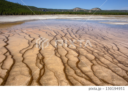 Grand Prismatic Pool at Yellowstone National Park. Grand Prismatic Pool at Yellowstone National Park. 130194951
