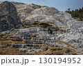 Mammoth hot spring system in the Yellowstone national park. 130194952