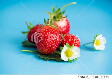 Ripe red strawberries on a blue background from above 130196139
