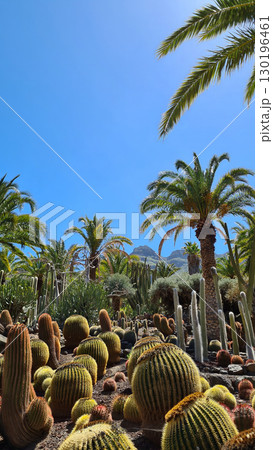 Close-up of fresh freshwater, which is dynamic and vital for the survival of living organisms due to its special properties Close-up of fresh freshwater, which is dynamic and vital for the survival of living organisms due to its special properties 130196461