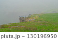 Pigeons perched on a green hill in misty weather 130196950