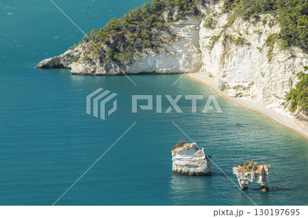 White Cliffs and Turquoise Sea Meeting at Baia delle Zagare in Mattinata, Italy 130197695
