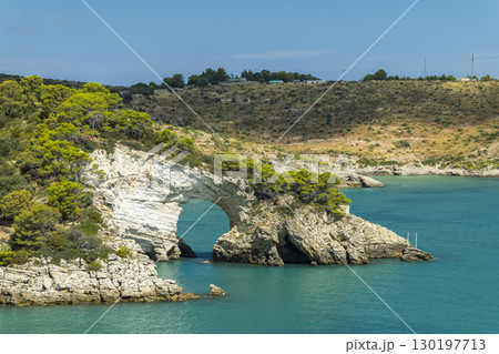 Scenic Arch of San Felice along the Coast of Vieste, Italy Scenic Arch of San Felice along the Coast of Vieste, Italy 130197713