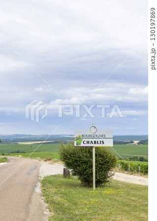 Chablis vineyards landscape in Bourgogne, France, under cloudy sky 130197869