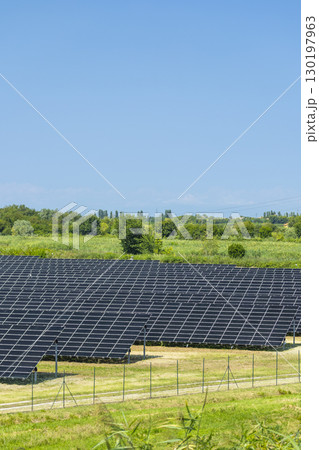 Large photovoltaic plant providing clean energy in the Italian countryside near Loreo 130197963