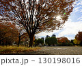 紅葉が美しい街中の小さな公園と秋の晴れた空 130198016