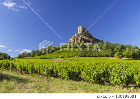 Rock of Solutre with vineyards, Burgundy, Solutre-Pouilly, France Rock of Solutre with vineyards, Burgundy, Solutre-Pouilly, France 130198081