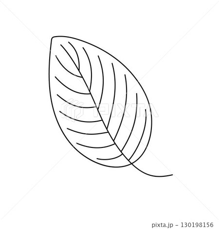 Leaf simple outline hand drawn doodle vector illustration, floral botanical minimalist image for environment projects, nature concept, coloring page, scrapbooking, line art sketch Leaf simple outline hand drawn doodle vector illustration, floral botanical minimalist image for environment projects, nature concept, coloring page, scrapbooking, line art sketch 130198156