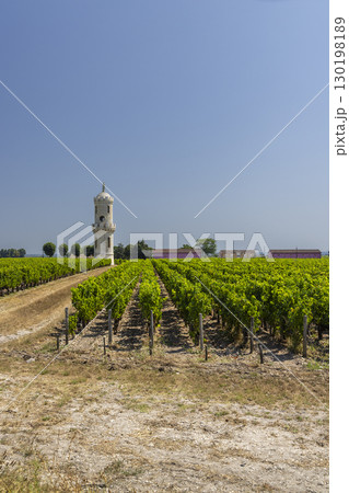 Vineyards with Chateau Cos d'Estournel, Bordeaux, Aquitaine, France Vineyards with Chateau Cos d'Estournel, Bordeaux, Aquitaine, France 130198189