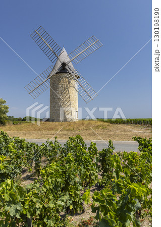 Windmill with vineyard near Montagne, Saint-Emilion wine region, departement Gironde, France Windmill with vineyard near Montagne, Saint-Emilion wine region, departement Gironde, France 130198190