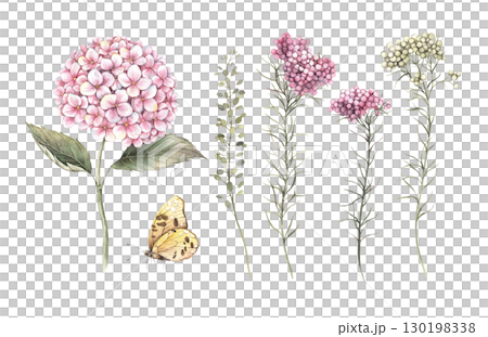Pink hydrangea, small ozosamun flowers, field plants, and a yellow butterfly. A set of watercolor illustrations with flowers is suitable for floral design, weddings, birthdays, and invitations. 130198338