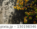 紅葉した桜の木と木漏れ日の石畳 130198346