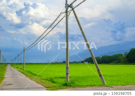 真夏の田園風景【長野県】 130198705