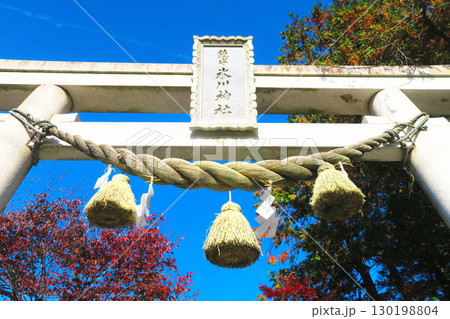 埼玉県川口市の鎮守氷川神社の鳥居の風景 130198804