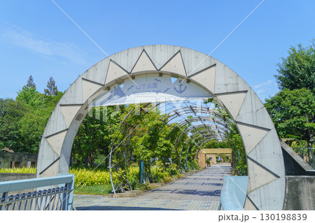 【神奈川県横浜市】山下公園・世界の広場付近 【神奈川県横浜市】山下公園・世界の広場付近 130198839