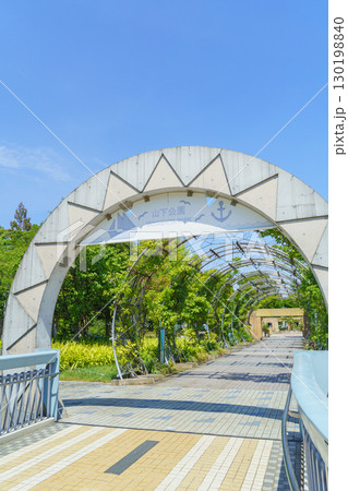 【神奈川県横浜市】山下公園・世界の広場付近 【神奈川県横浜市】山下公園・世界の広場付近 130198840