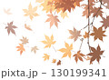 枝から舞い落ちる紅葉を描いた秋の背景イラスト 130199341