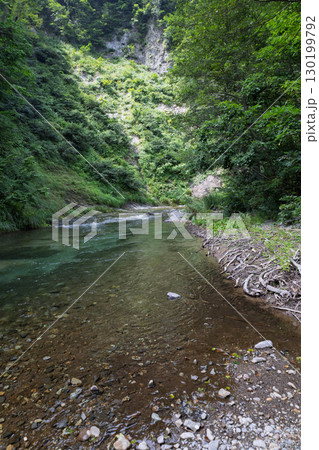 夏の奥志賀渓谷コース 雑魚川の流れ 夏の奥志賀渓谷コース 雑魚川の流れ 130199792
